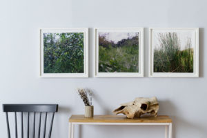 Three photographs of grass and trees in a grid formation